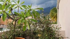 Un balcón con macetas de terracota con plantas verdes, suelo estampado y vista a un paisaje urbano bajo un cielo nublado.
