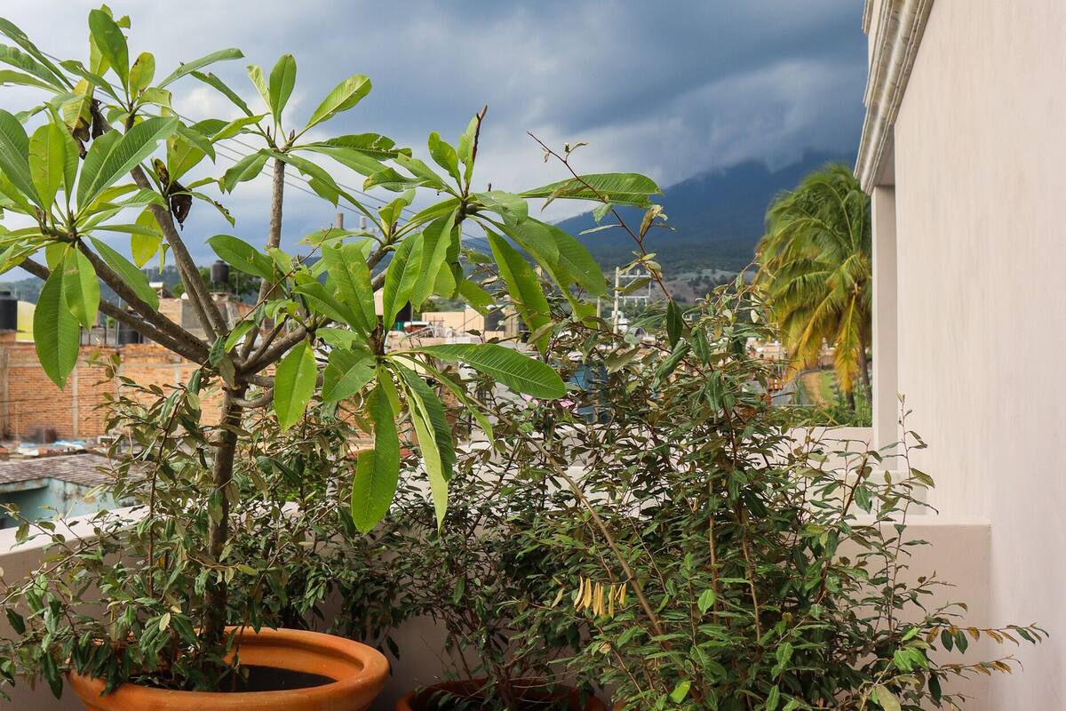 A balcony with terracotta pots containing green plants, a patterned floor, and a cityscape view under a cloudy sky.