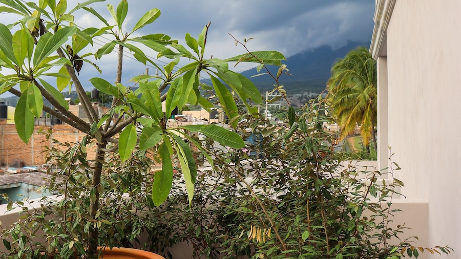 Hotel Boutique Gloriagave