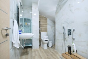 Shower, hair dryer, towels