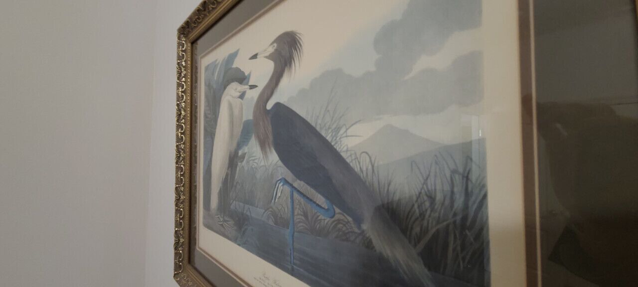 Une œuvre d’art encadrée représentant un oiseau et une figure humaine dans un décor naturel.