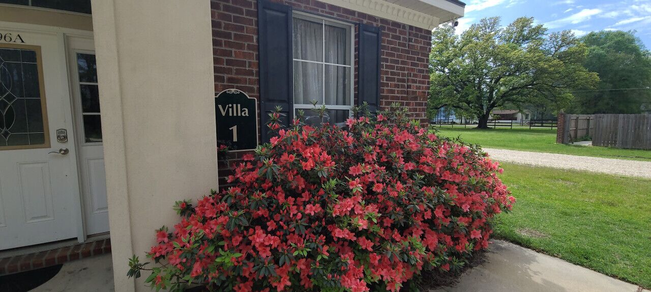 Details aan de buitenkant