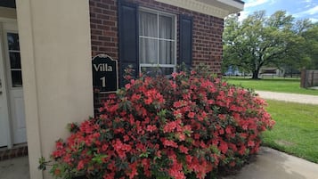 Details aan de buitenkant