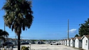 Un parking bordé d’une rangée de mobil-homes blancs, un palmier et un ciel d’un bleu limpide.