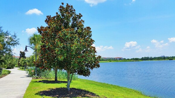 House (3 Bedrooms) | Property amenity - 8036 Cool Breeze Drive #133 (Orlando)