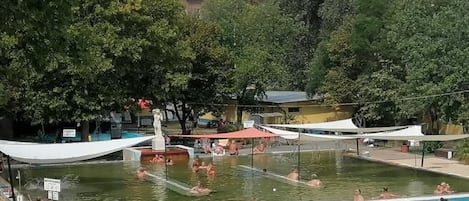 Zwembad