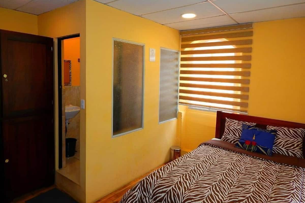 A hotel room with a zebra-patterned bed, a wooden door, a window with blinds, and a small bathroom with a sink.