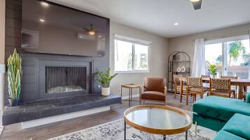 Smart TV, fireplace, books
