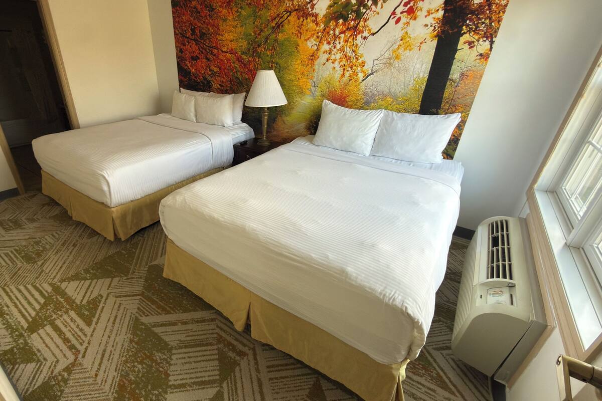 Ein Hotelzimmer mit zwei Betten, einem großen Fenster, einem Heizkörper und einem gemusterten Teppich.
