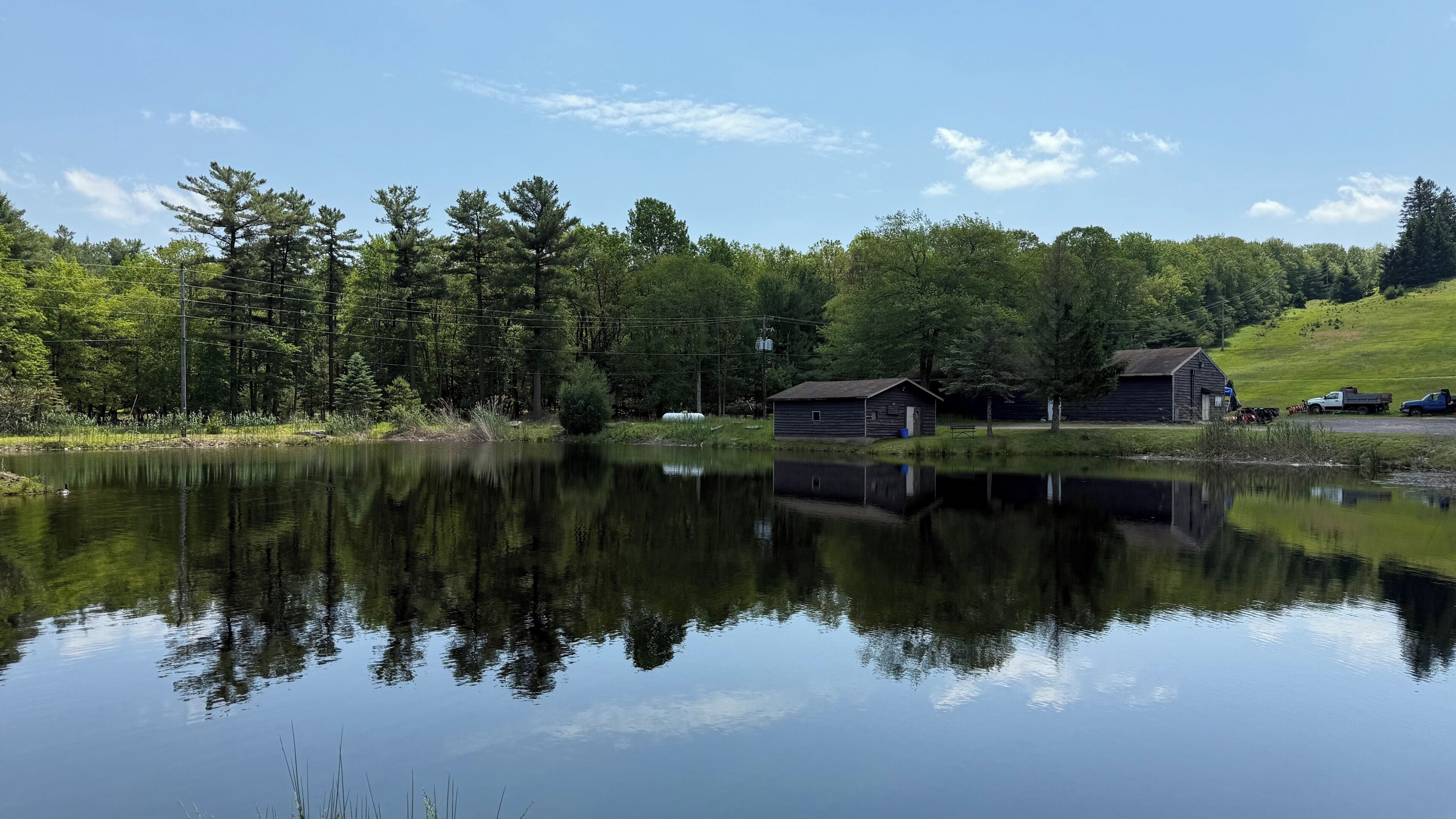 A calm lake with reflections of trees and a small cabin.