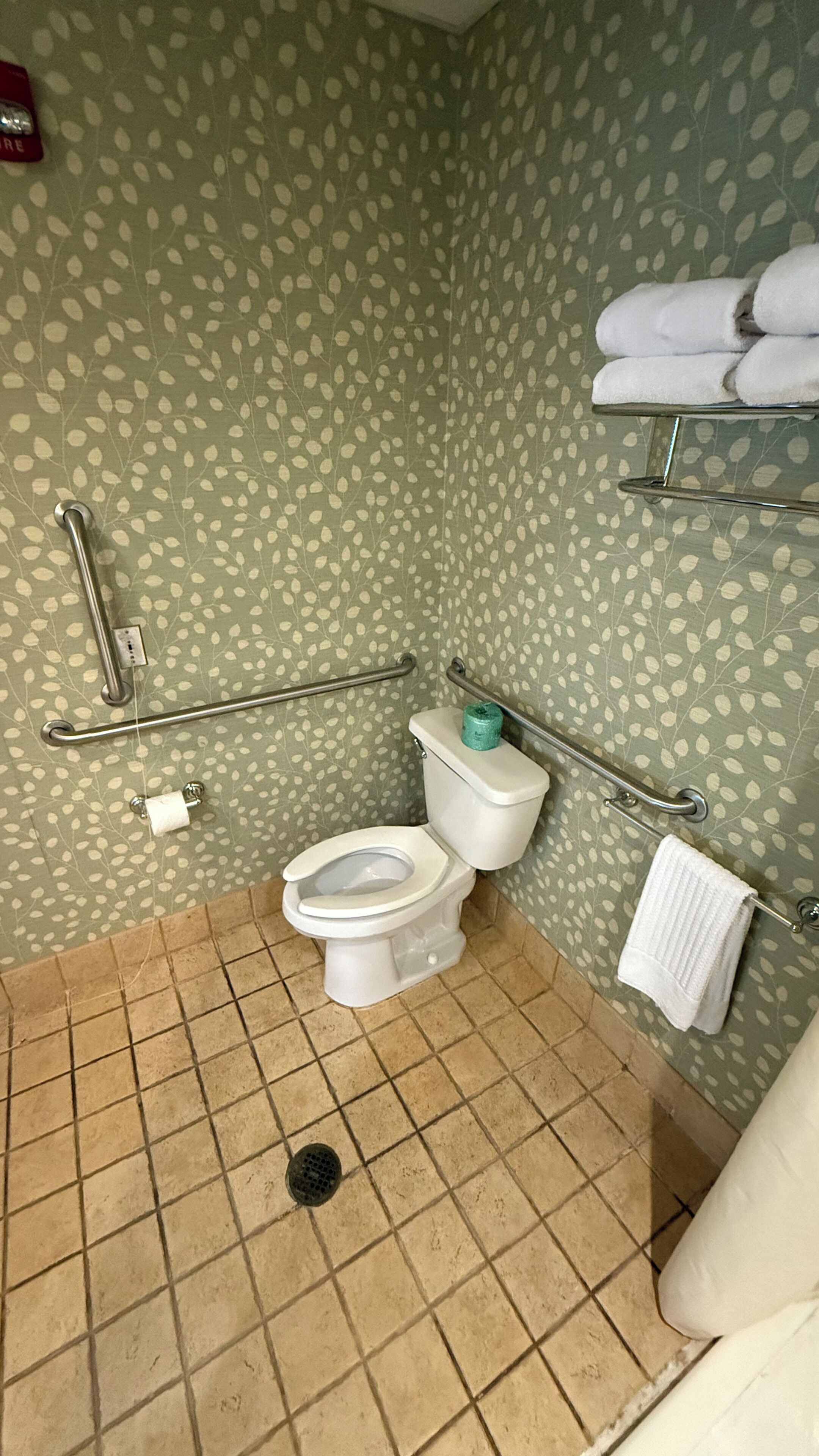 Un baño con inodoro, barras de apoyo, toallero y pared con diseño.