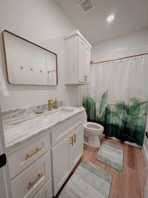 Regadera, secadora de cabello, toallas, shampoo 