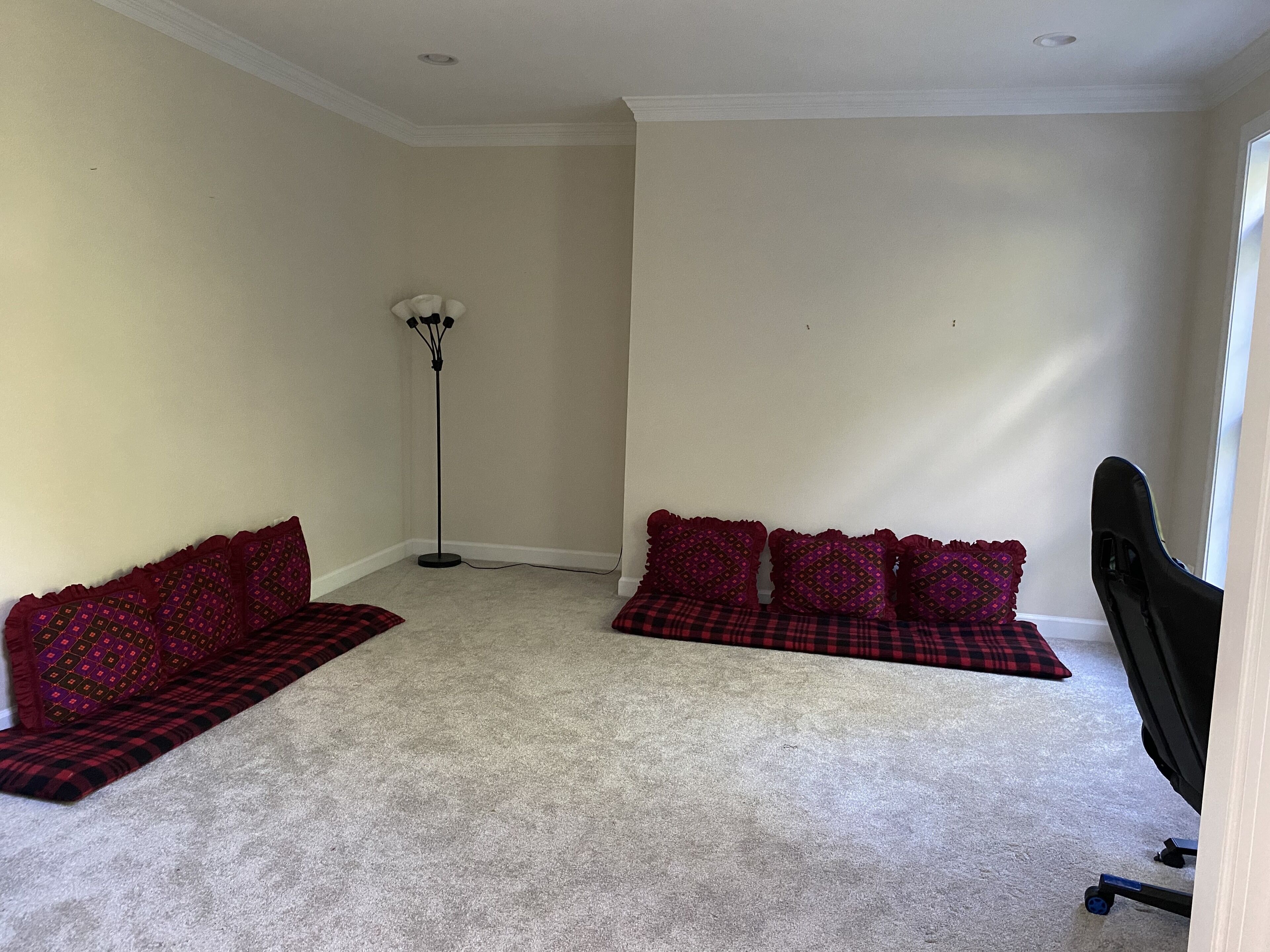 A carpeted room with a sofa set and a standing floor lamp.