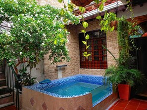 Garden - La Palma Hotel (Santa Marta)