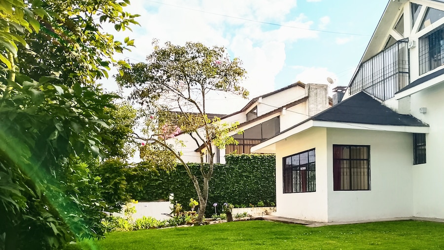 The Dream House