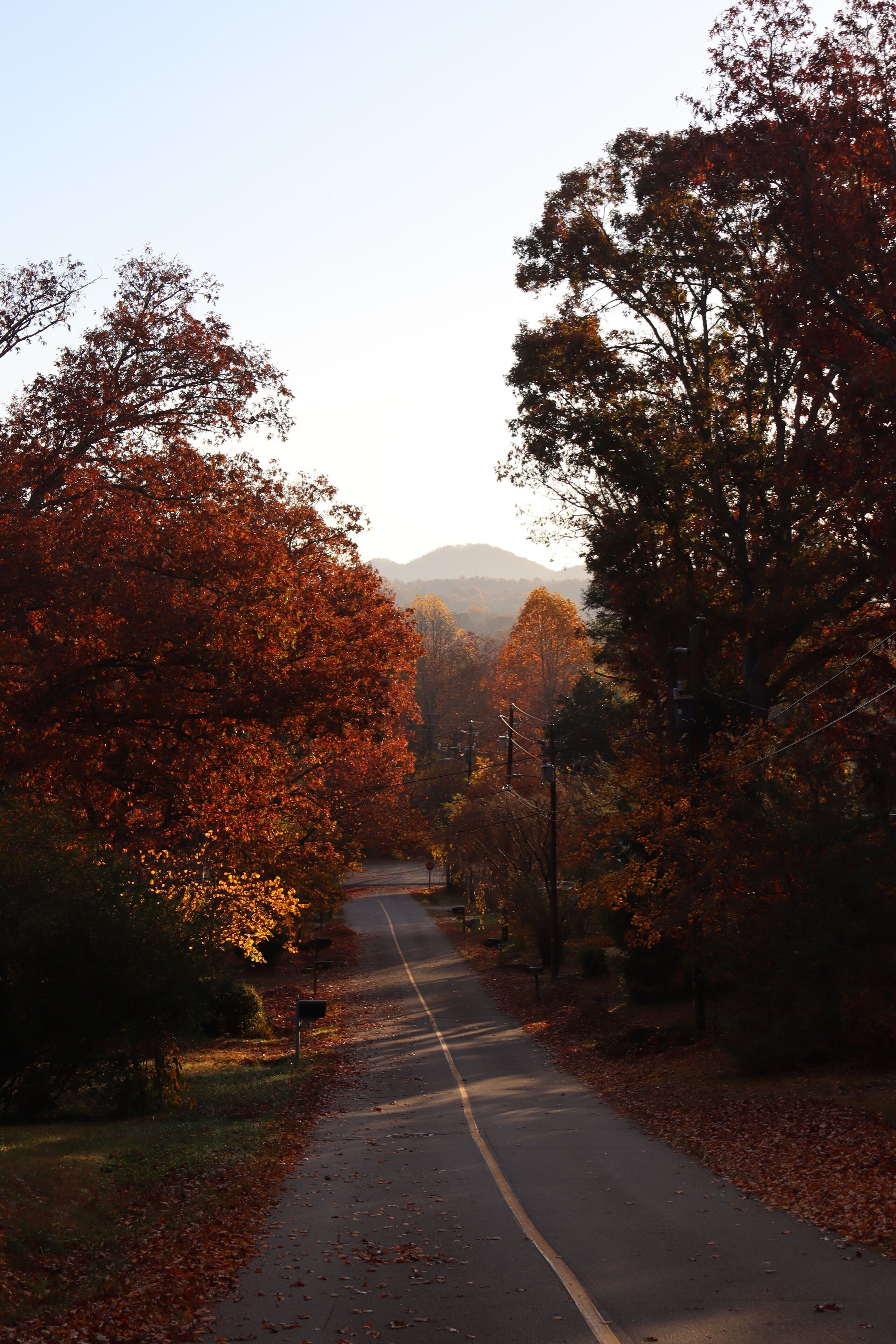 Modern Black Mountain - Walk Downtown, Great for Groups, Fire Pit