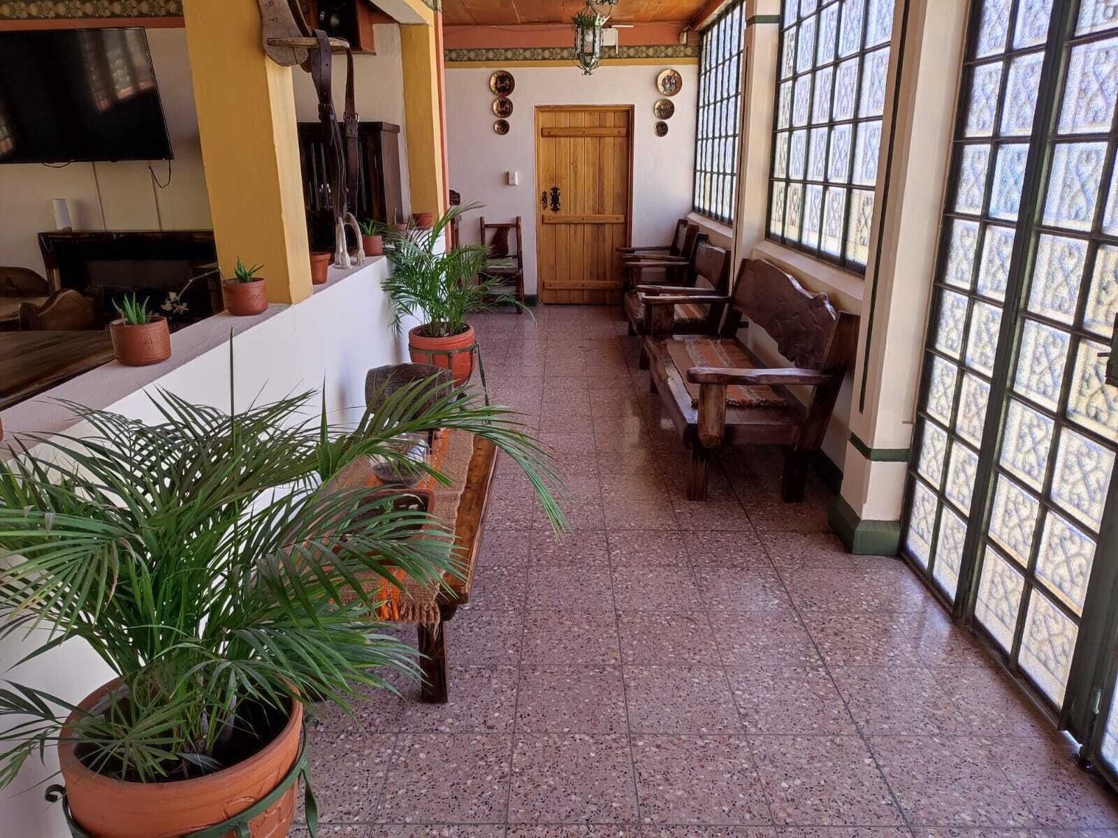 A lobby with a reception desk, several potted plants, wooden benches, and a large window with patterned glass.