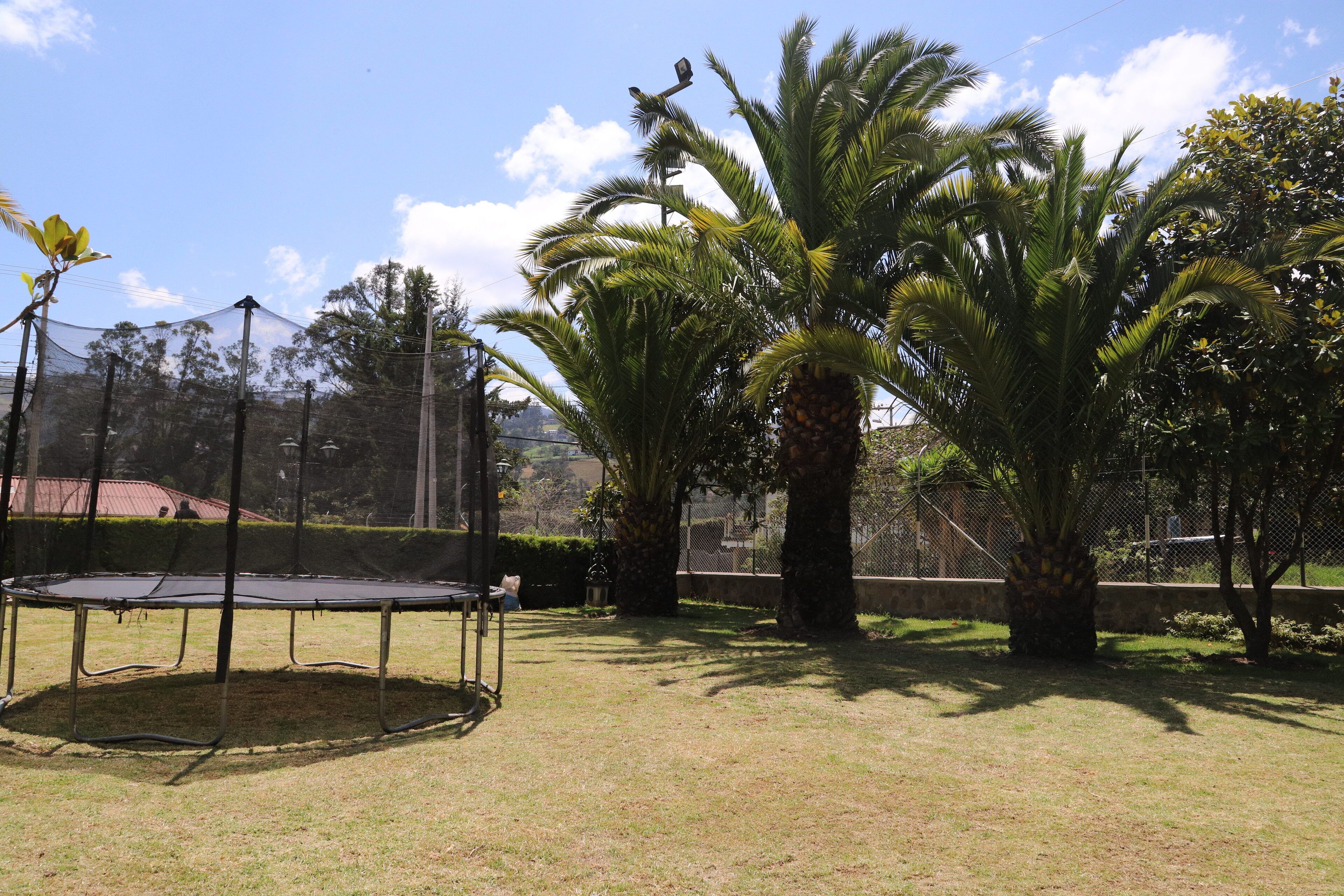 Un espacio cubierto de césped con un trampolín y palmeras.