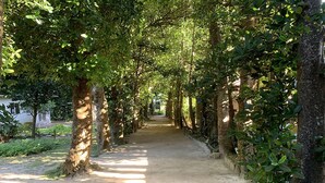 A pathway lined with trees and a concrete surface. - ADAN RESORT -LANTERN- (Motobu)