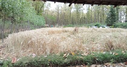Secluded Pristine Mud Cottage situated amidst a forest. Perfect get away.