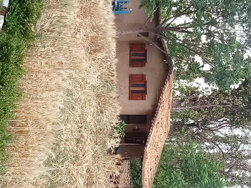  Secluded Pristine Mud Cottage situated amidst a forest. Perfect get away.