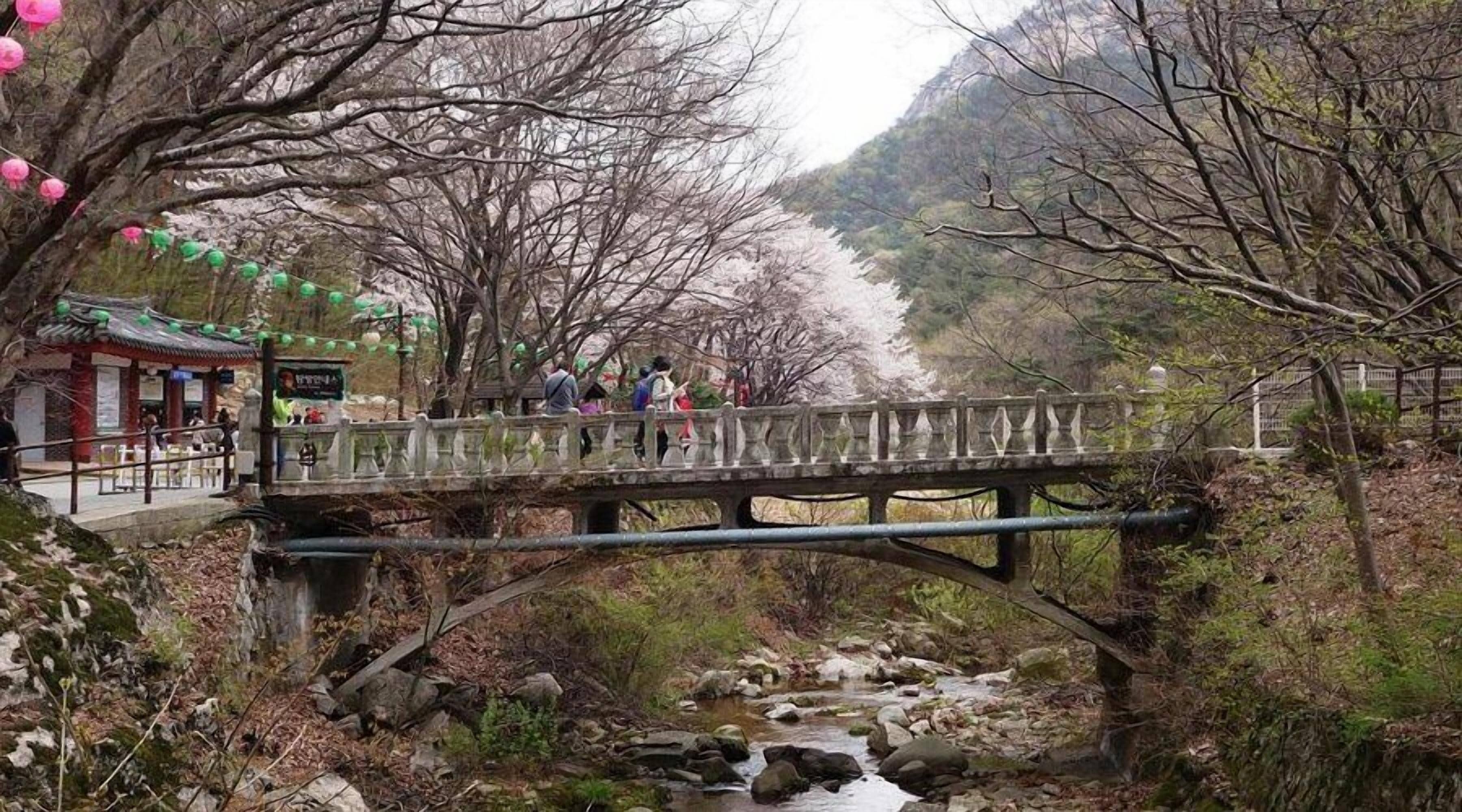 A stone bridge over a stream with people walking, surrounded by trees and a traditional building.