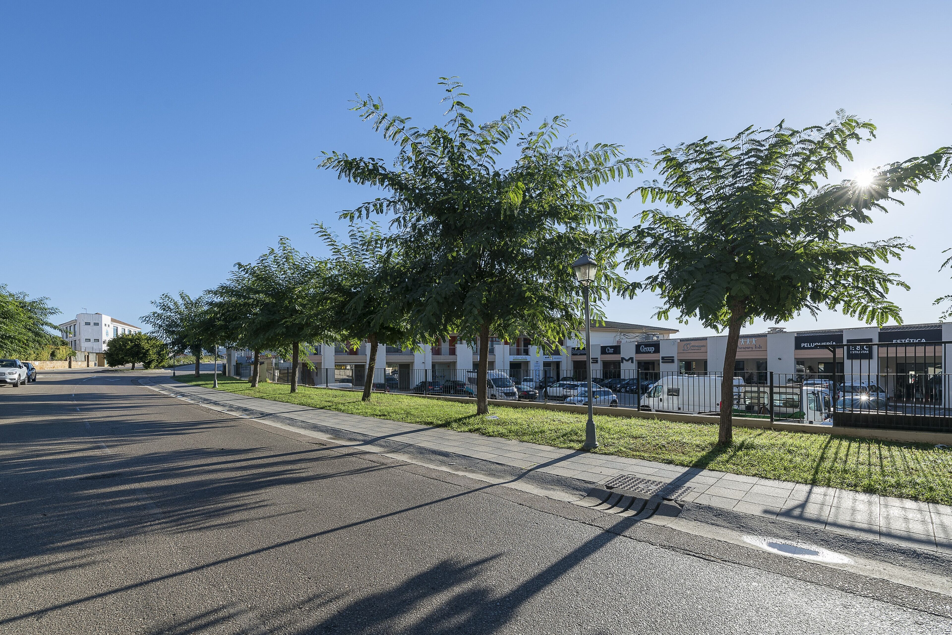 Una calle con árboles, aceras y una hilera de edificios con escaparates.