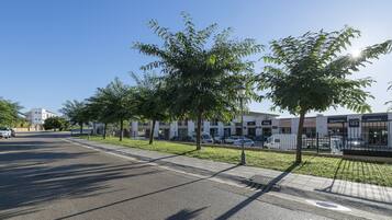 Una calle con árboles, aceras y una hilera de edificios con escaparates.