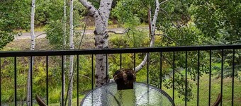 Cozy Condo in Ruidoso ideal for Outdoor Enthusiasts! 