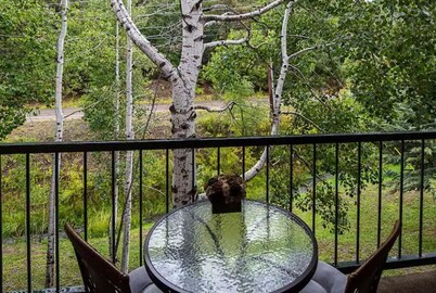 Cozy Condo in Ruidoso ideal for Outdoor Enthusiasts! 