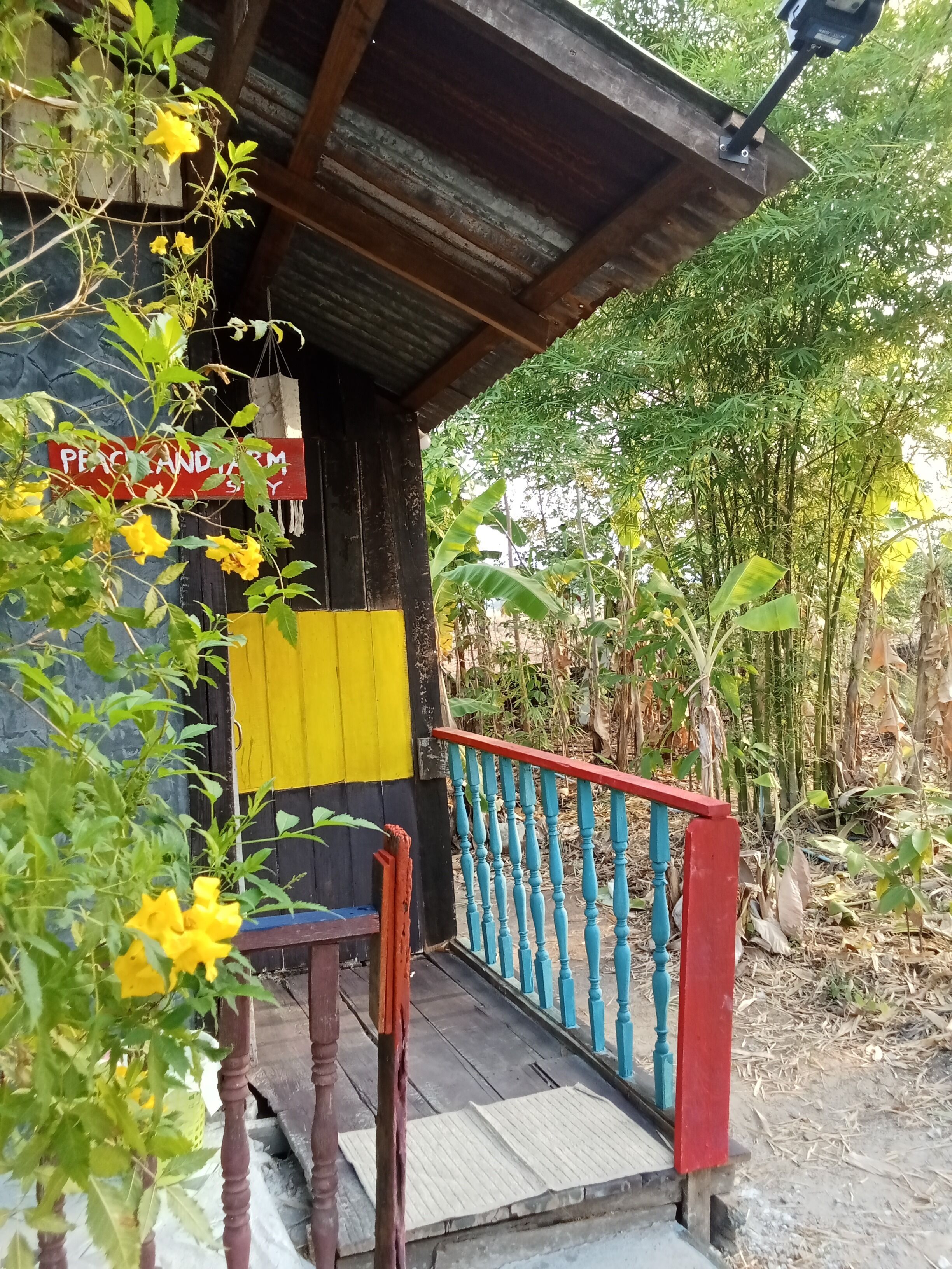Habitación básica, 1 habitación, baño privado, en el área del jardín | Terraza o patio