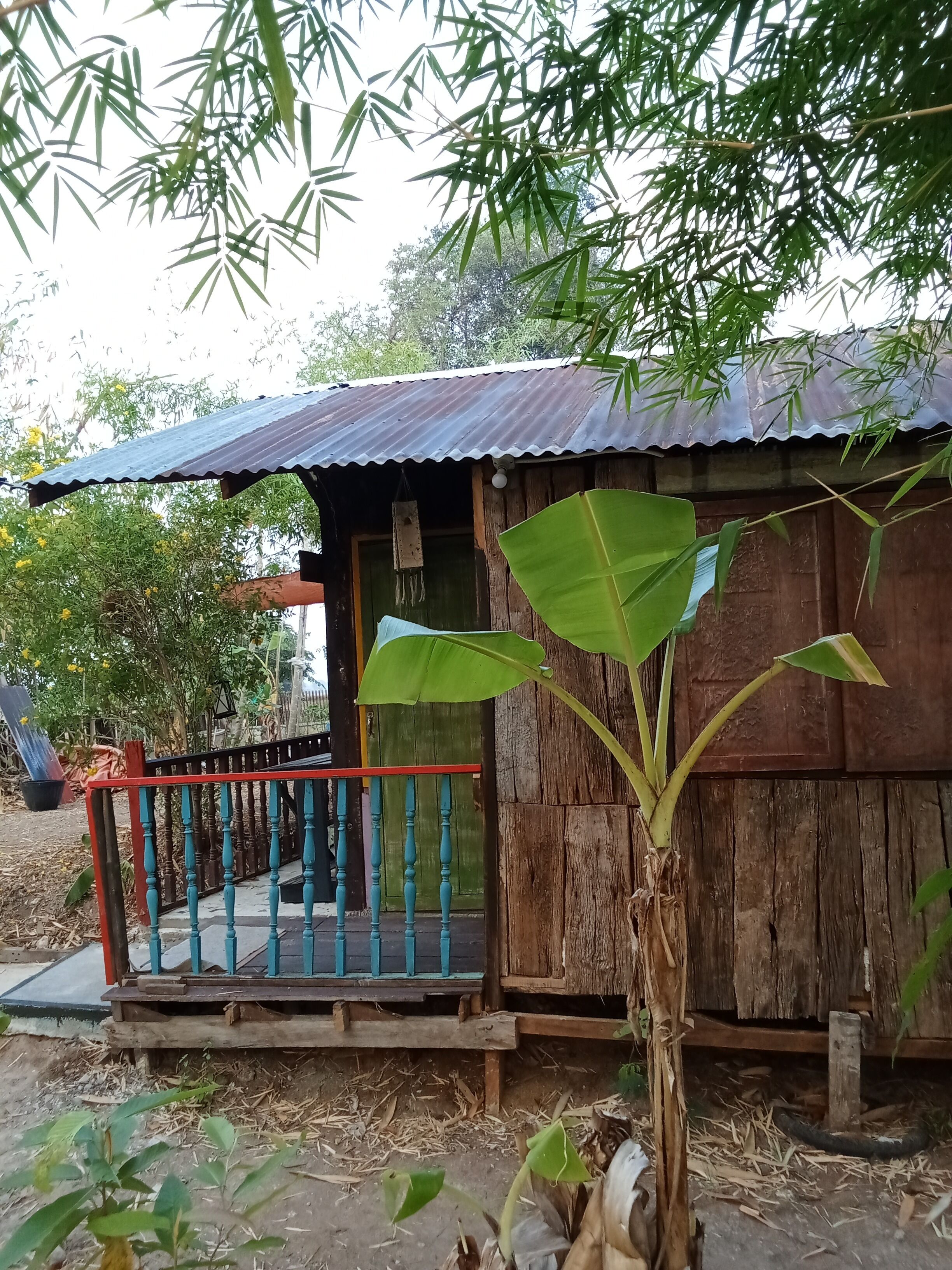 Basic Room, 1 Bedroom, Private Bathroom, Garden Area | Individually decorated, desk, blackout curtains, bed sheets