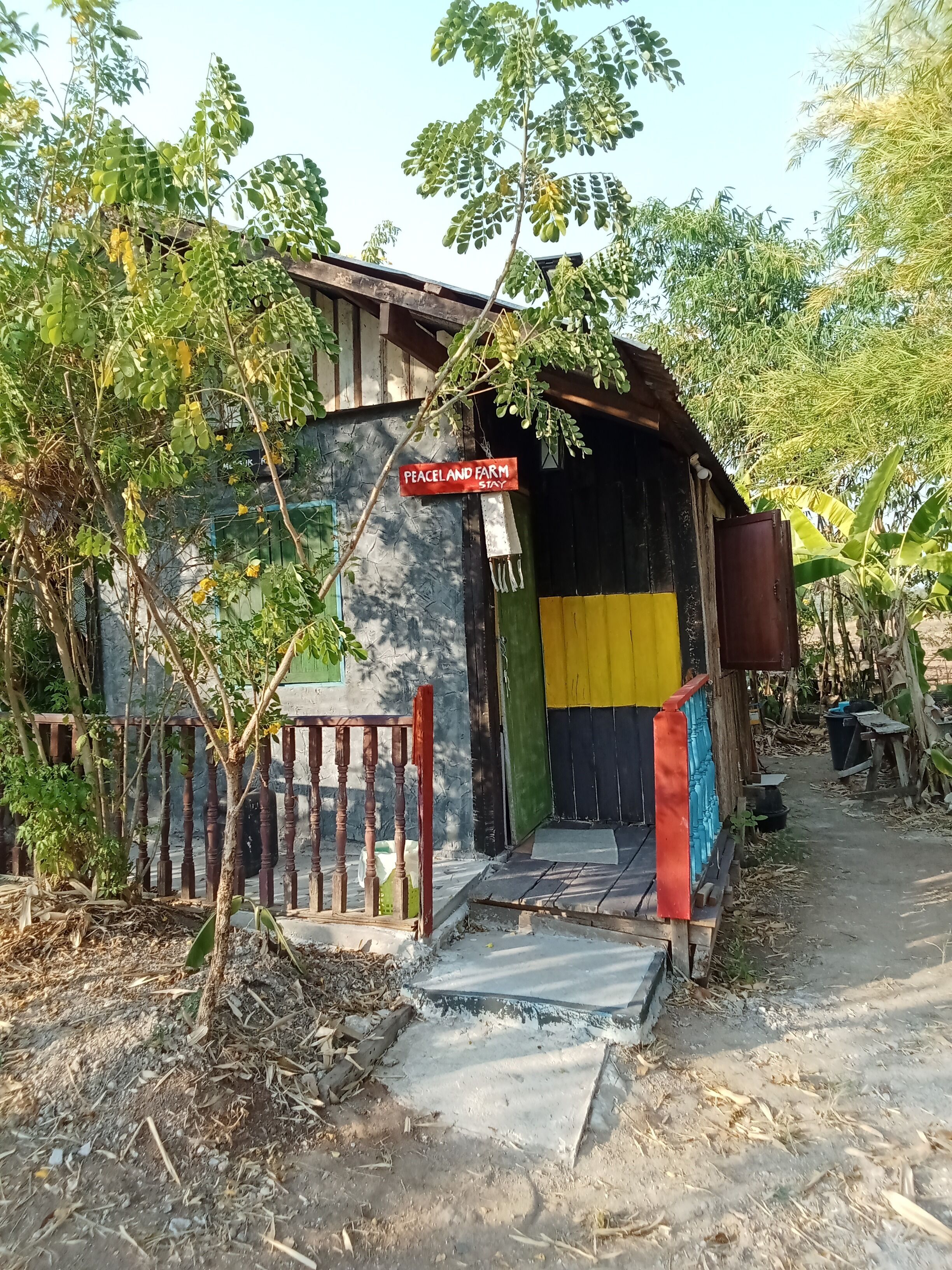 ベーシック ルーム 1 ベッドルーム 専用バスルーム ガーデン | テラス / パティオ