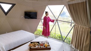 Una habitación con una cama, una bandeja de desayuno, un televisor y vistas al exterior.