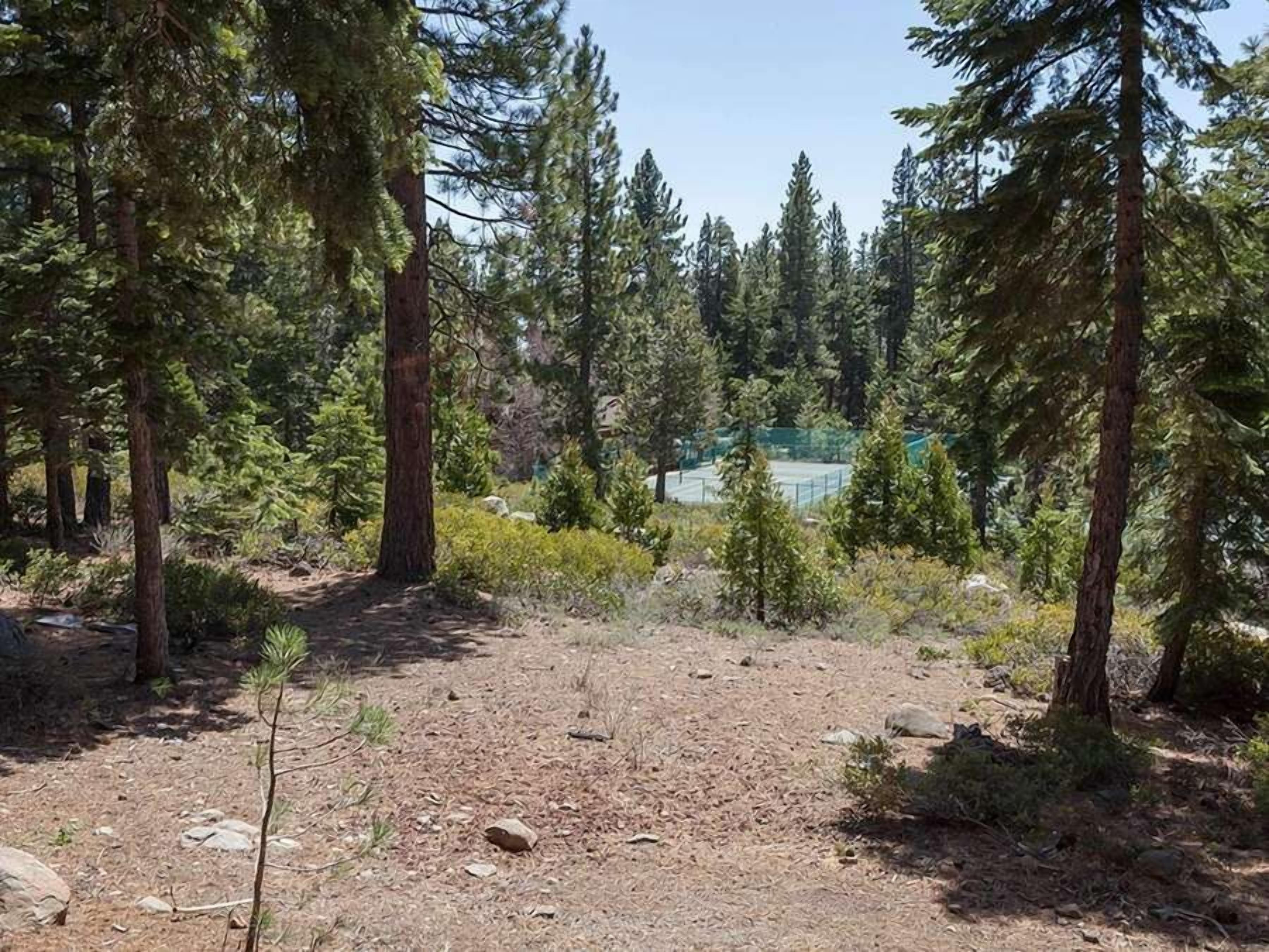 Un área boscosa con un sendero de tierra que lleva a una zona cercada.