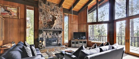 TV, fireplace, DVD player