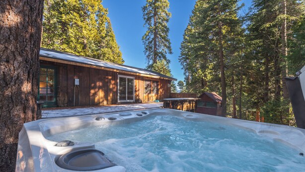 Un jacuzzi rodeado de altos árboles y una cabaña de madera.