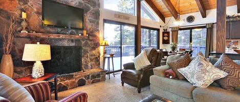 TV, fireplace, books