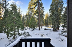 Property grounds - Cozy mountain home w/ Hot Tub, Dogs Ok, Lake Tahoe -Los Osos (Carnelian Bay)