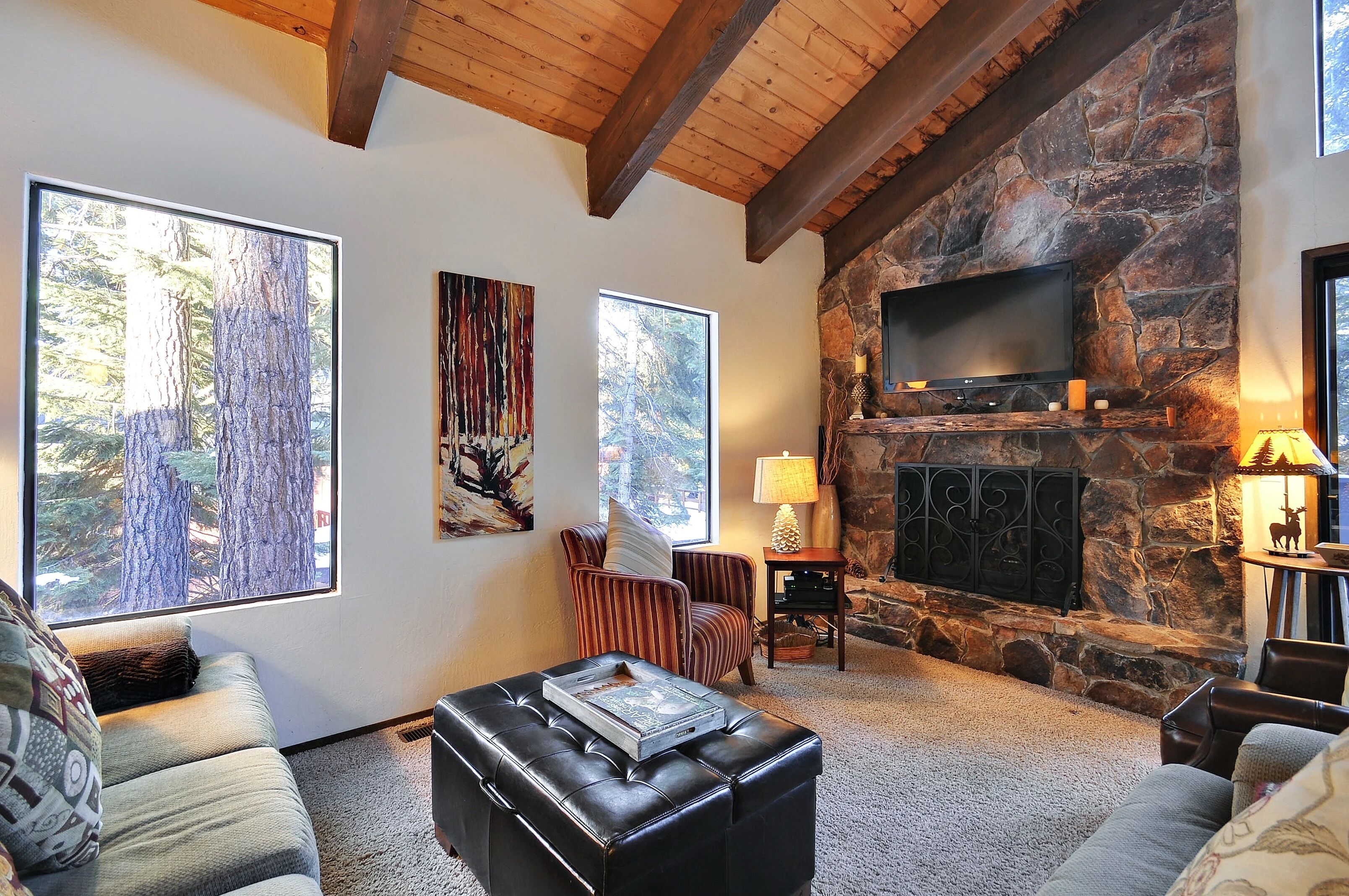 Télévision, cheminée, livres