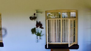 A room with a large window with a wooden frame and a view of the outside. There are three shelves with plants on the wall. - Lovely 4 bed in Mutare - 2178 (Mutare)