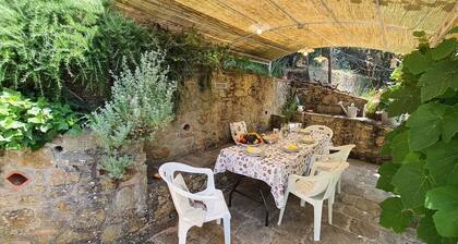 La Casa Del Sole - Petrognano ,Tuscany