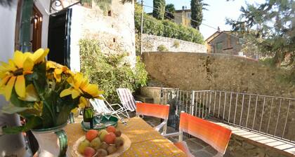 La Cipressa - San Gennaro ,Tuscany