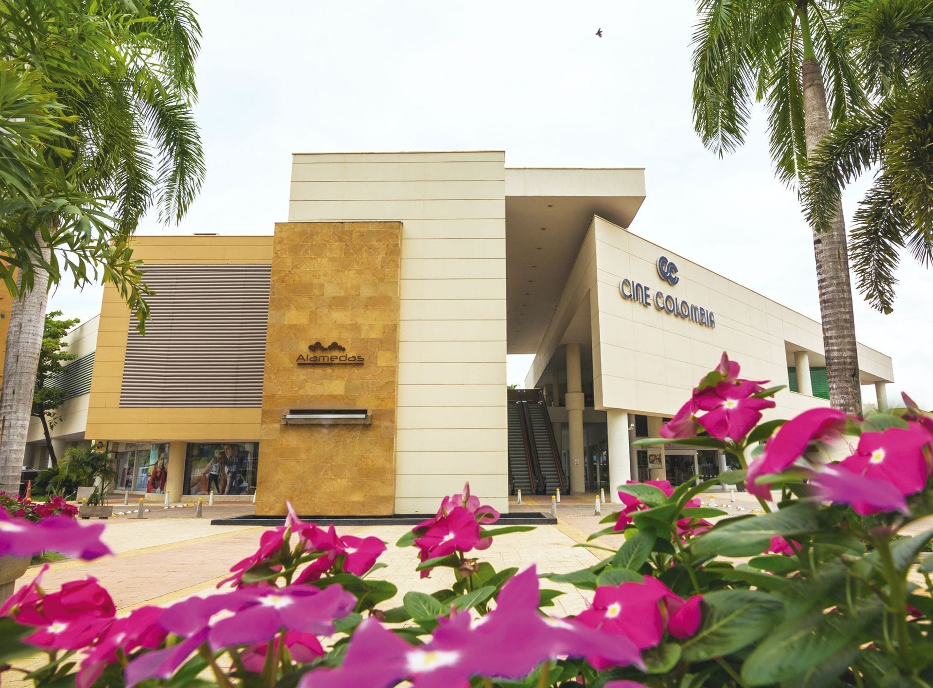 Foto - Hotel Cinco Monteria