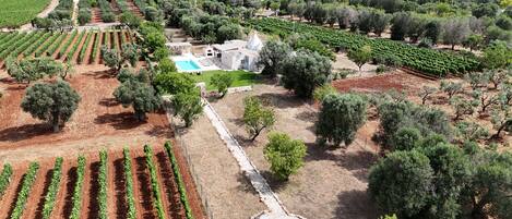 하우스 | 3 개의 침실