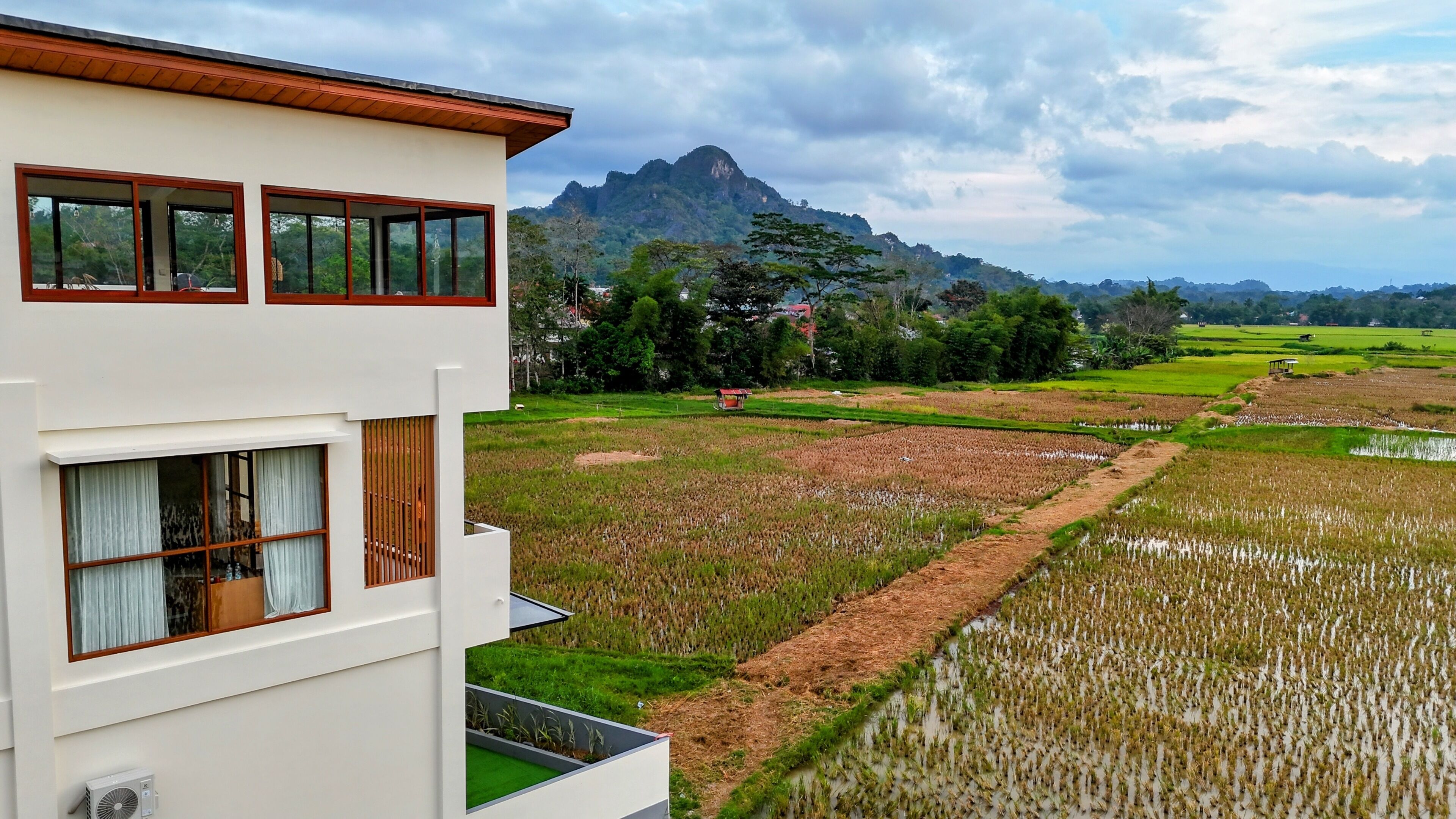 Um edifício moderno com grandes janelas dando para um campo de arroz e uma montanha ao fundo.