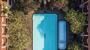Vue aérienne d’une piscine rectangulaire où nage une seule personne, entourée d’arbres et d’un bâtiment à la façade en briques.