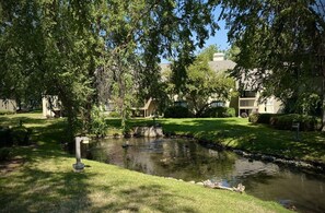 A tranquil pond surrounded by lush greenery and a building with a sloped roof. - SE Boise 2BR/2BA Retreat | Community Hot Tub, Pool | 8 Min to BSU (Boise)