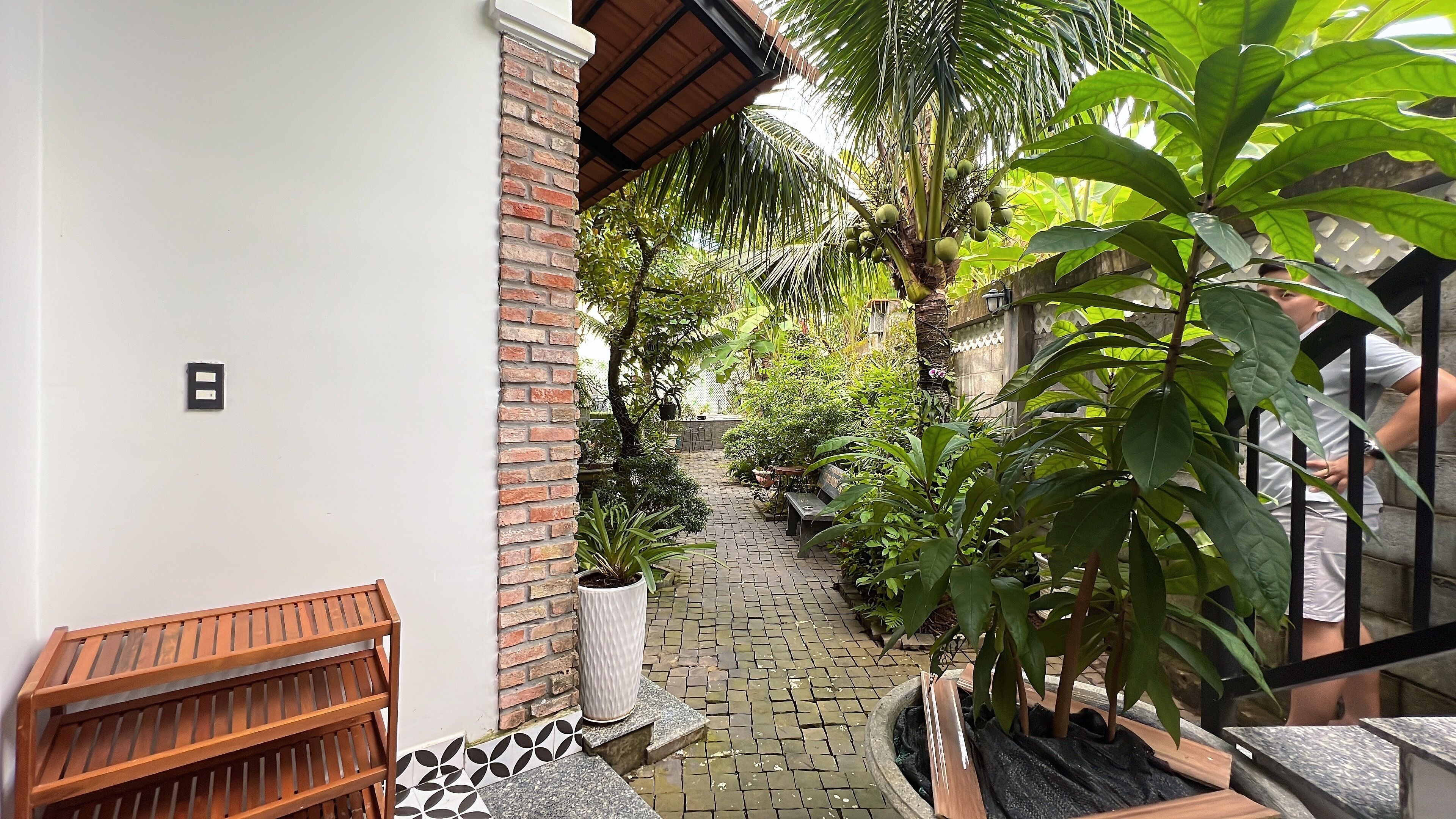 A narrow brick pathway with potted plants and a wooden bench on the left.
