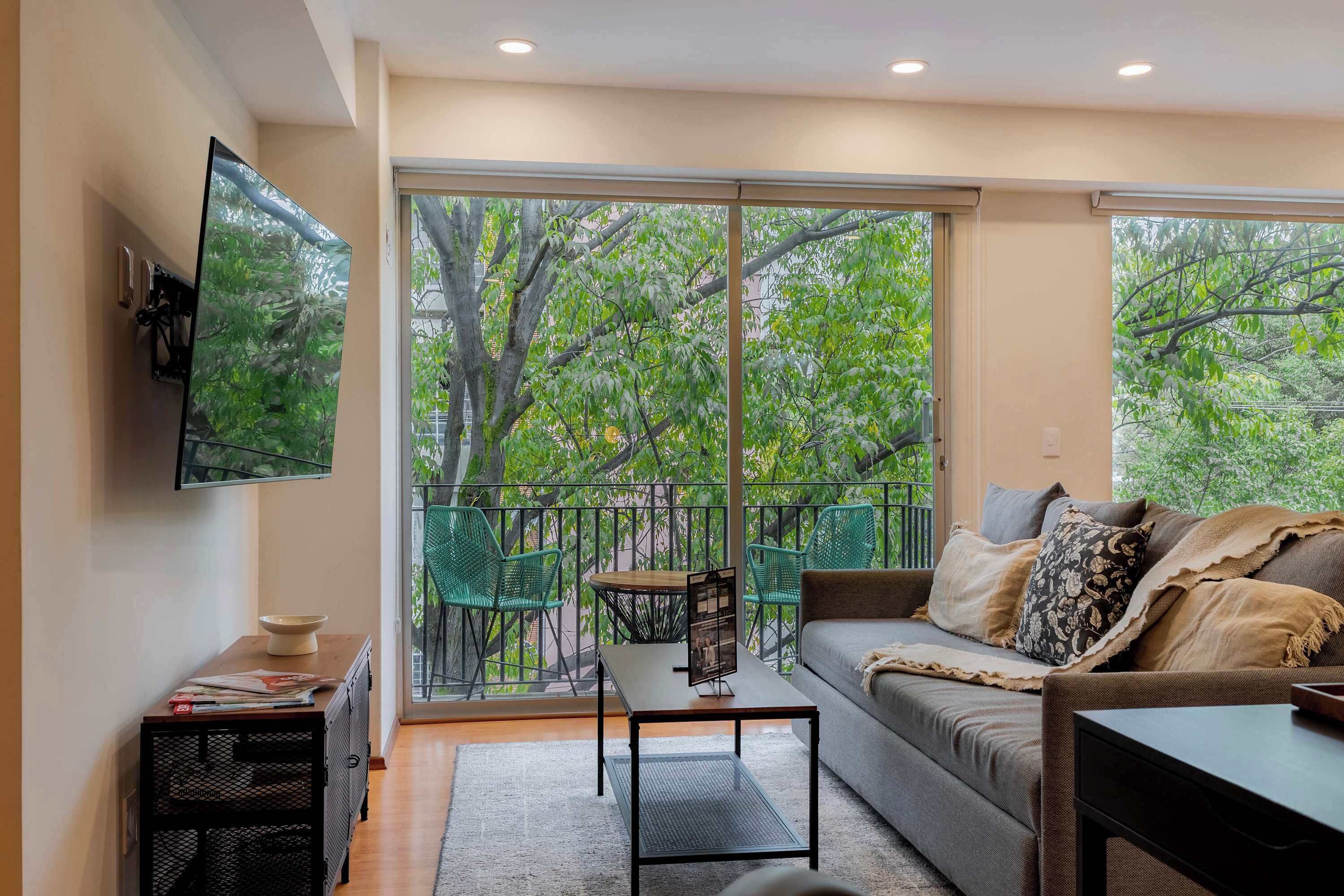 TV, video games, books, stereo